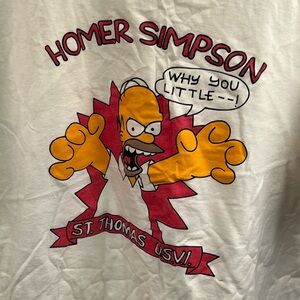 Vintage Fruit Of The Loom Homer Simpson Why You Little—! St. Thomas USVI Size XL